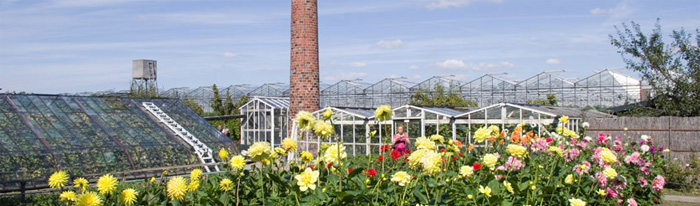 De tuin van het Westlands Museum 