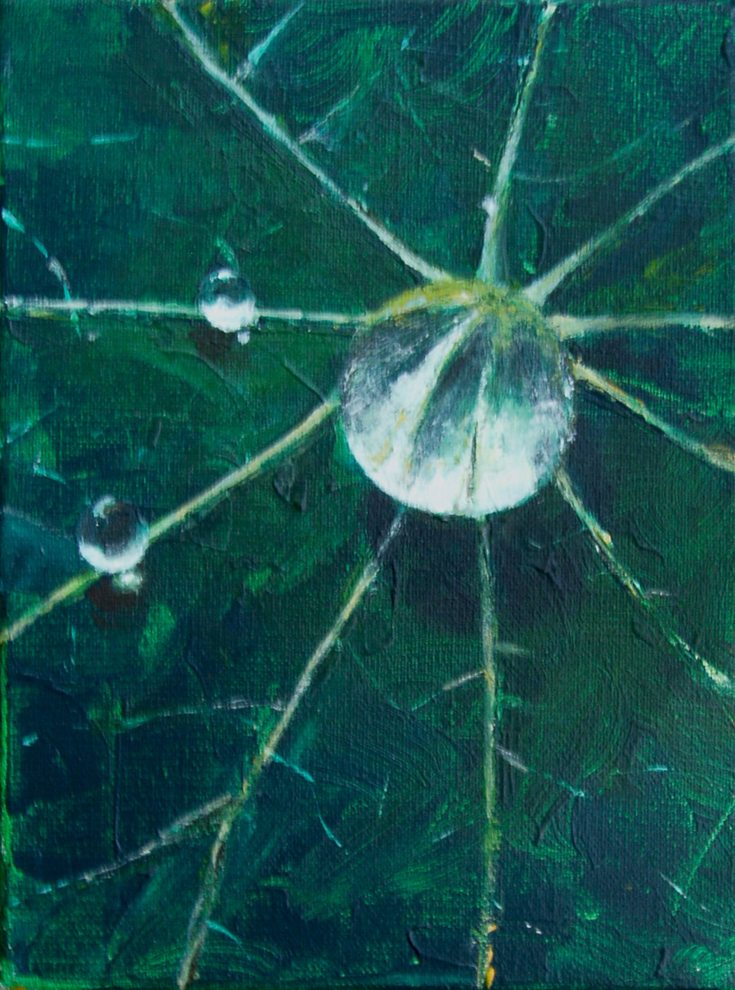 2011 Druppel P9080004