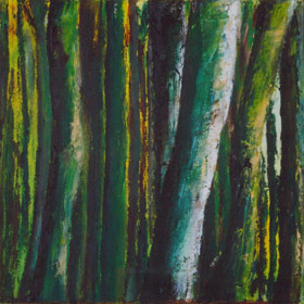Door de bomen het bos
