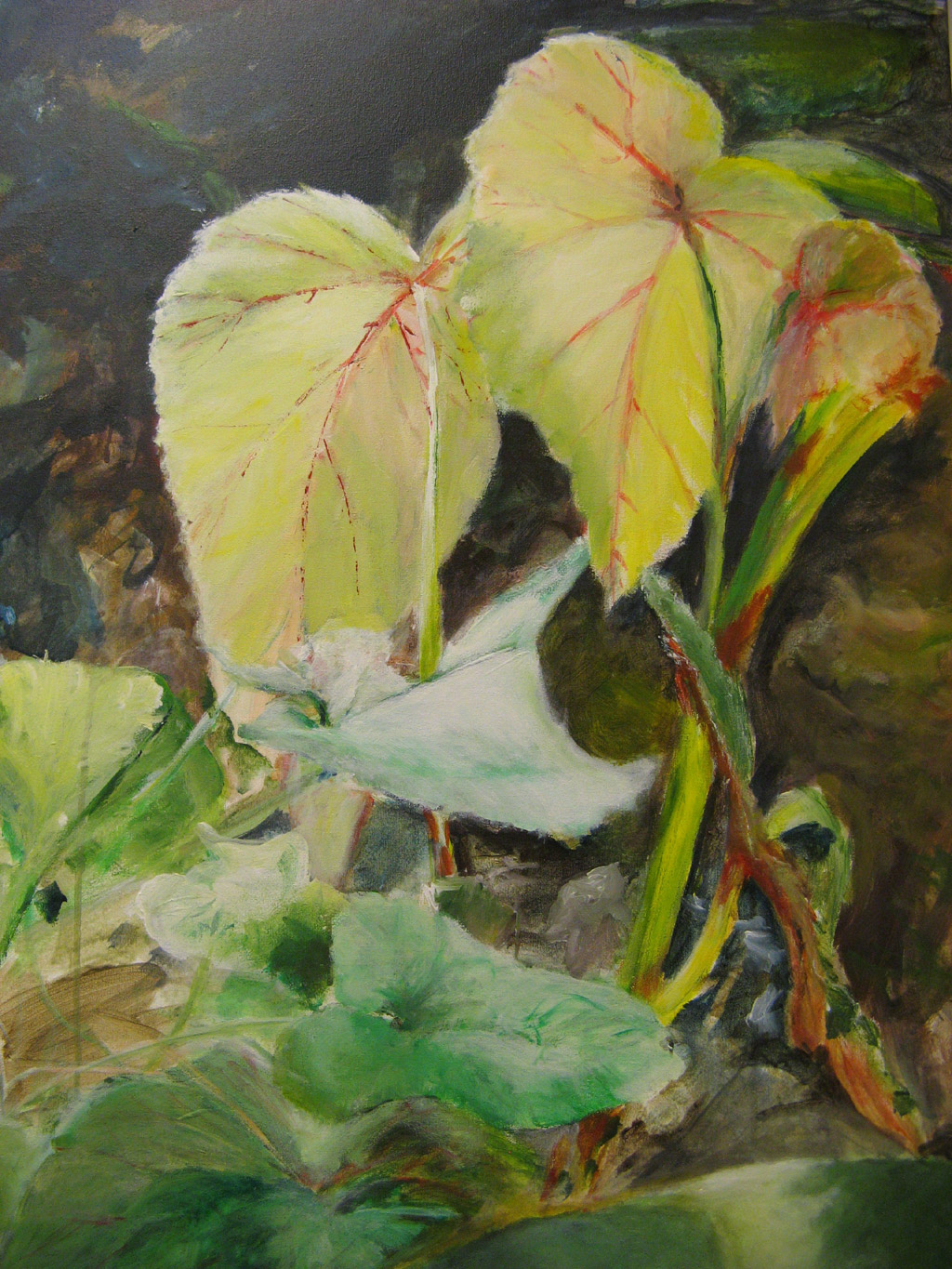 Jardins de Cadiot  04
