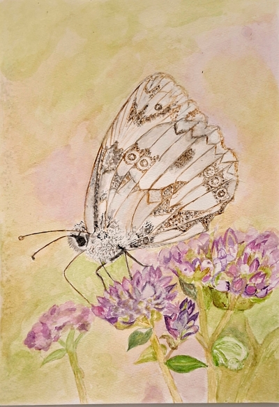 Aw Hb 20251211 095804